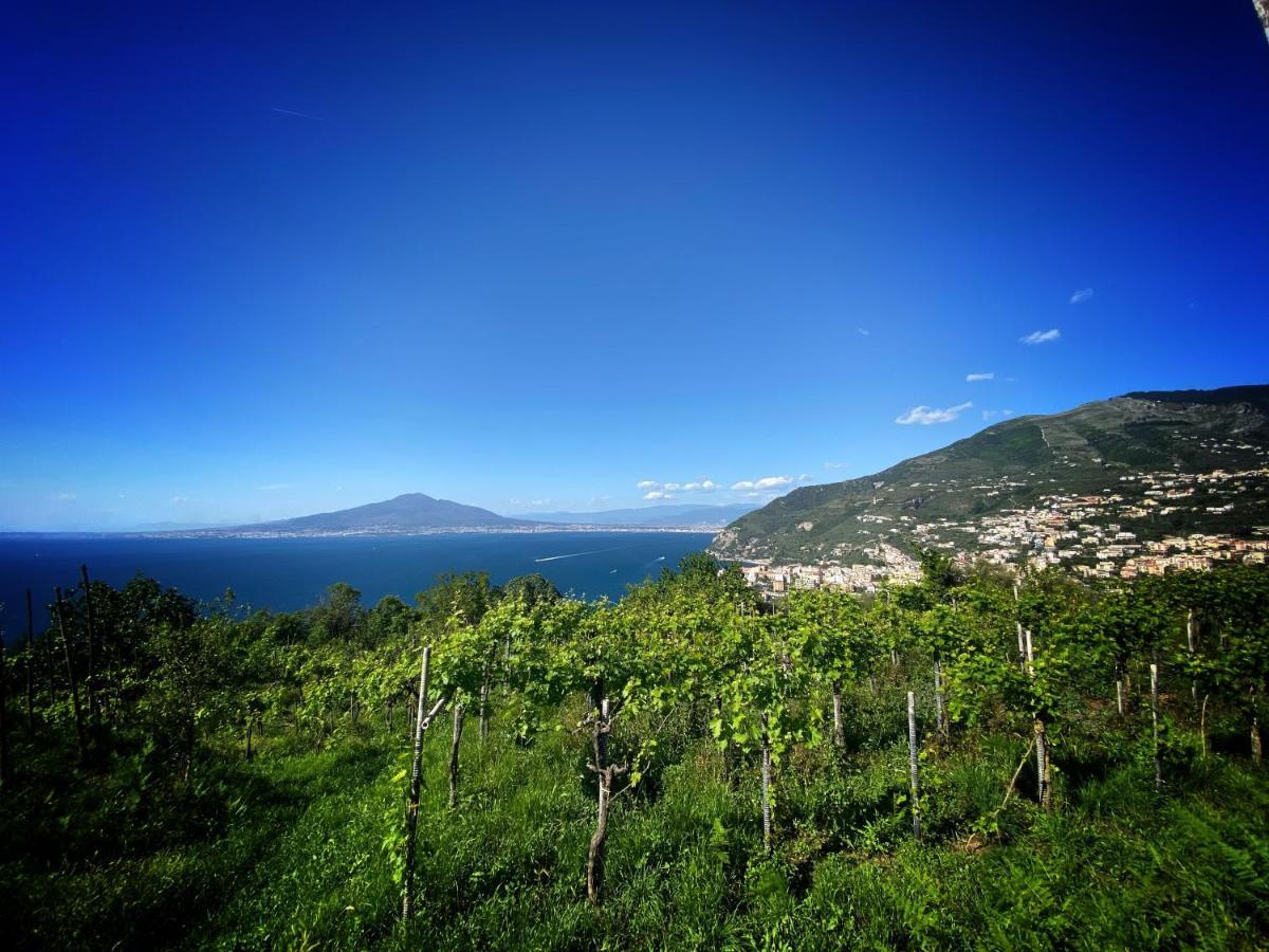 La Badia Montechiaro - Breathtaking View Of Sorrento Coast Villa วีโกเอเกวนเซ ภายนอก รูปภาพ