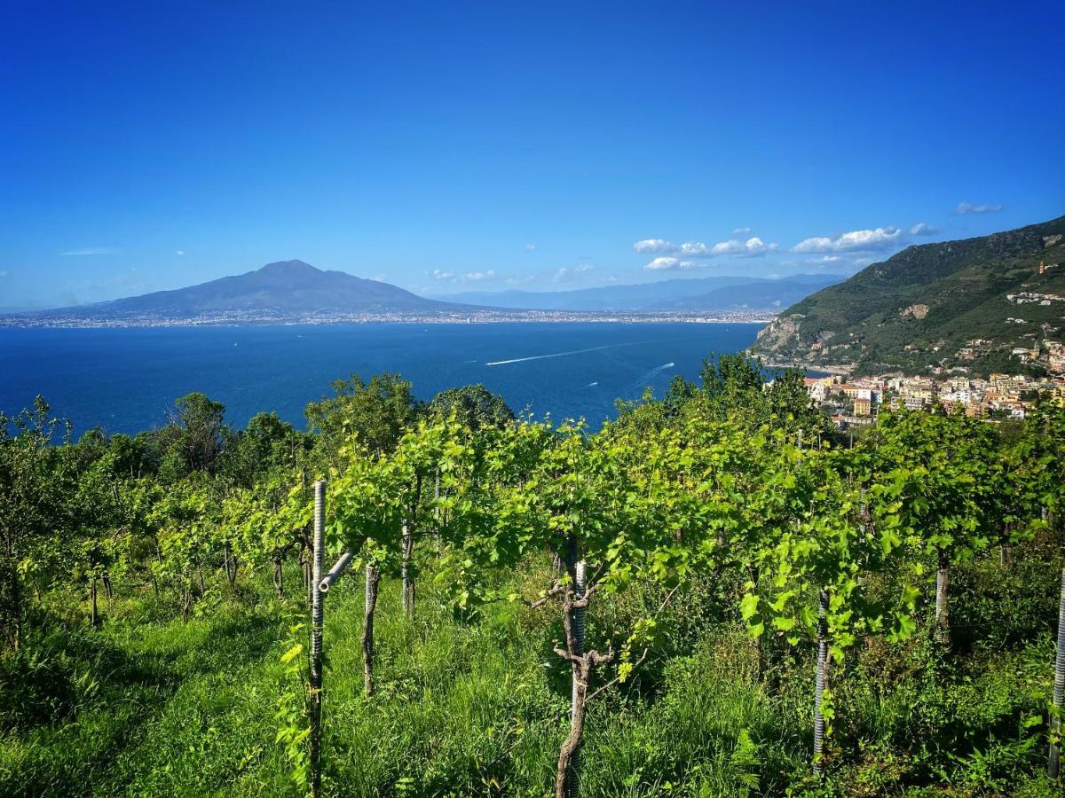 La Badia Montechiaro - Breathtaking View Of Sorrento Coast Villa วีโกเอเกวนเซ ภายนอก รูปภาพ
