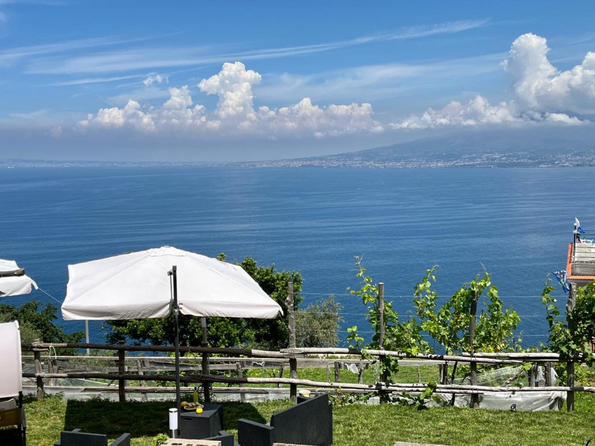 La Badia Montechiaro - Breathtaking View Of Sorrento Coast Villa วีโกเอเกวนเซ ภายนอก รูปภาพ