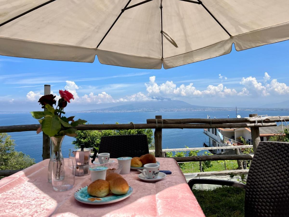 La Badia Montechiaro - Breathtaking View Of Sorrento Coast Villa วีโกเอเกวนเซ ภายนอก รูปภาพ