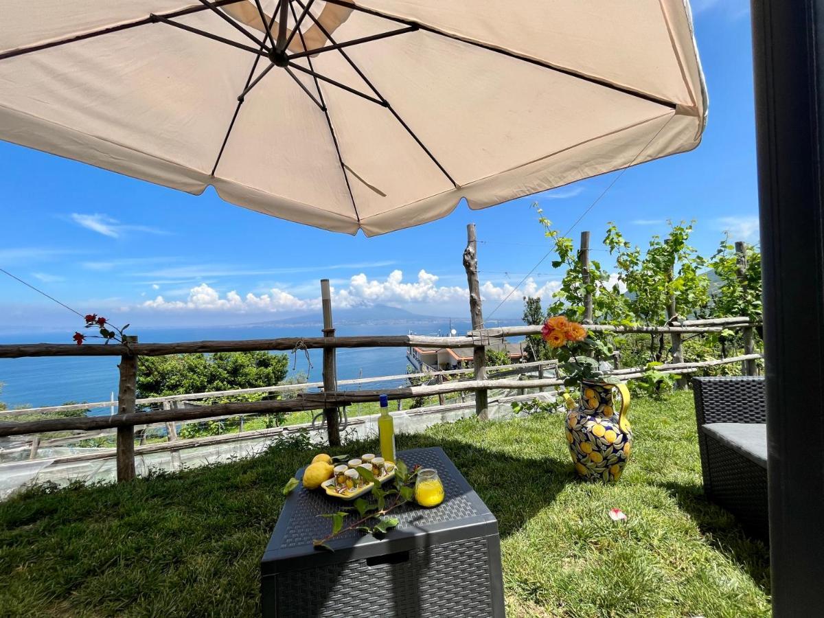 La Badia Montechiaro - Breathtaking View Of Sorrento Coast Villa วีโกเอเกวนเซ ภายนอก รูปภาพ