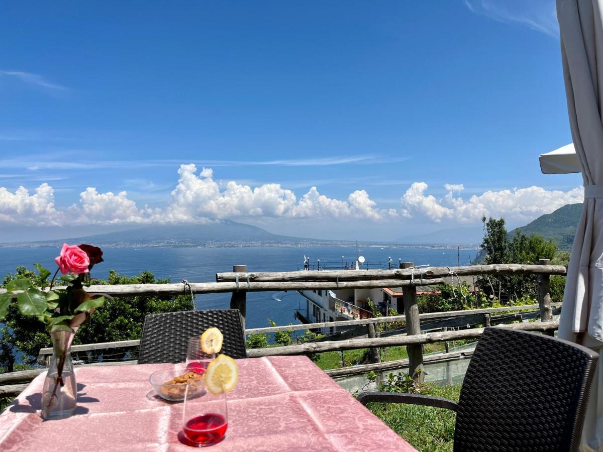 La Badia Montechiaro - Breathtaking View Of Sorrento Coast Villa วีโกเอเกวนเซ ภายนอก รูปภาพ