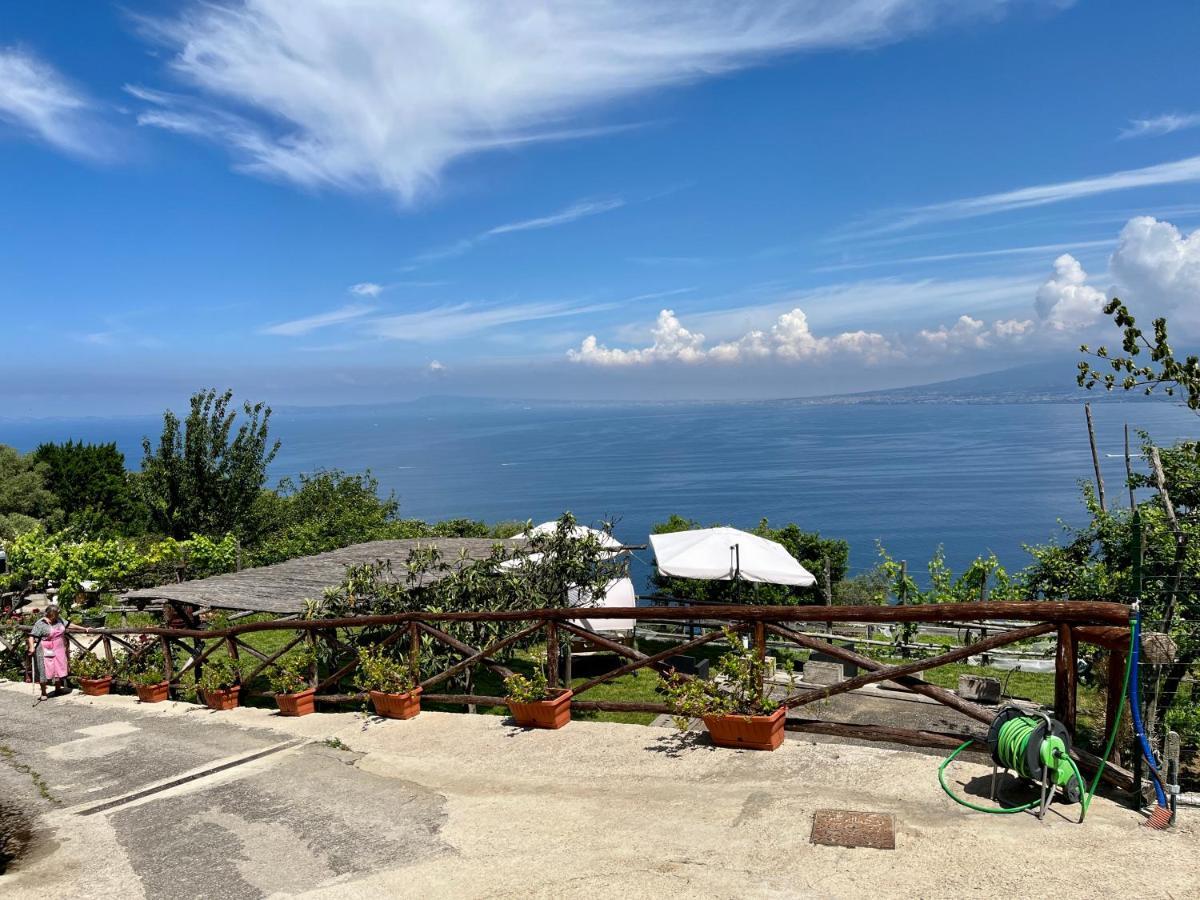 La Badia Montechiaro - Breathtaking View Of Sorrento Coast Villa วีโกเอเกวนเซ ภายนอก รูปภาพ