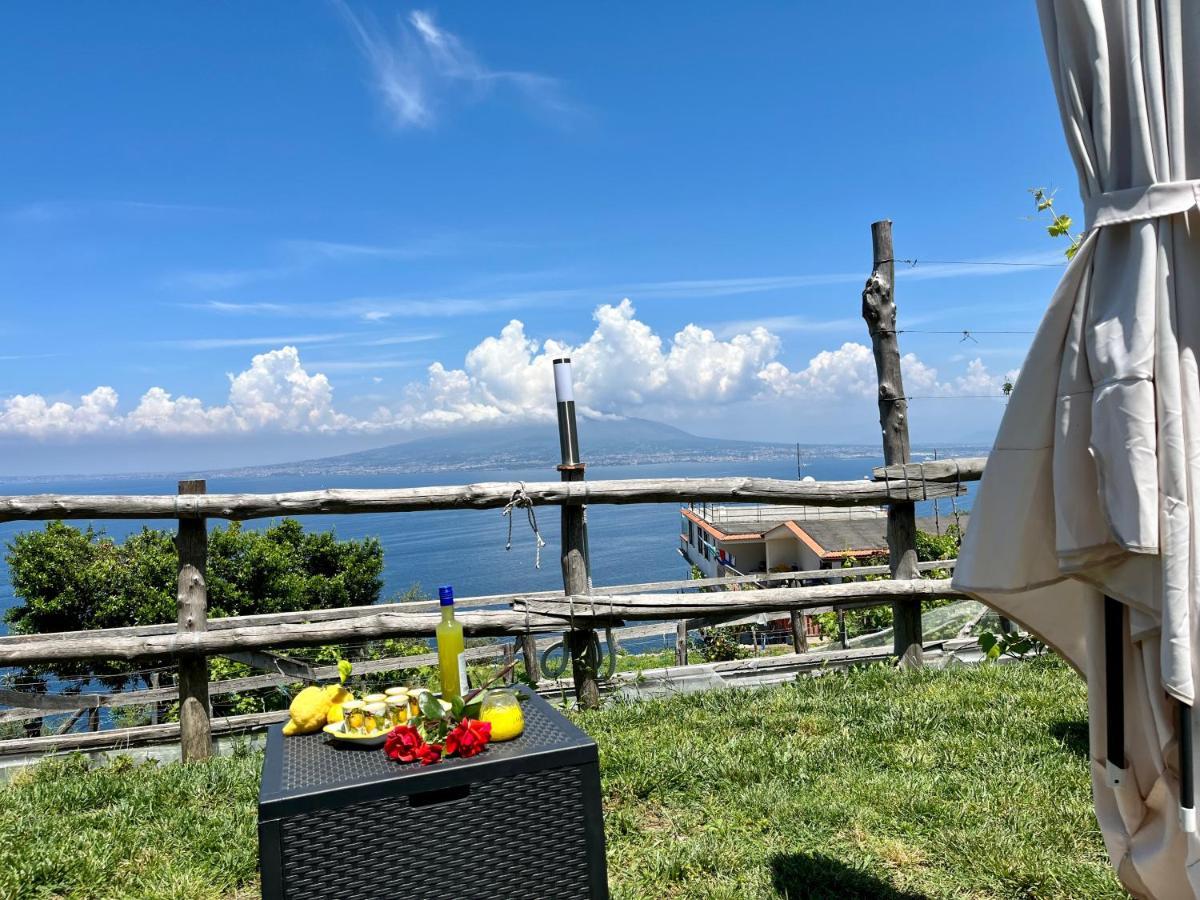 La Badia Montechiaro - Breathtaking View Of Sorrento Coast Villa วีโกเอเกวนเซ ภายนอก รูปภาพ