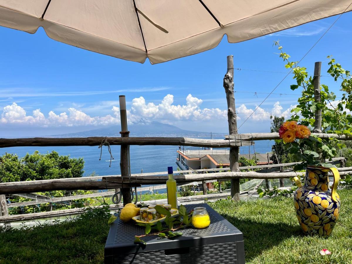 La Badia Montechiaro - Breathtaking View Of Sorrento Coast Villa วีโกเอเกวนเซ ภายนอก รูปภาพ